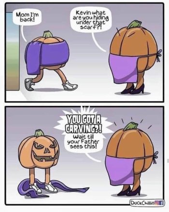 1761794692362.jpeg