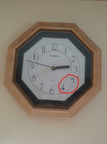 1761806446914.jpeg