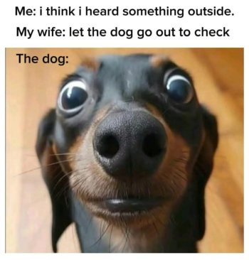 1761859368670.jpeg