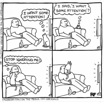 1761911106367.jpeg
