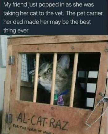 1761993890952.jpeg