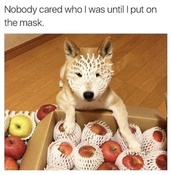 1762035238074.jpeg