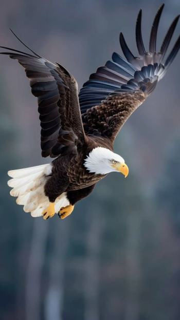 1762047834944.png 1762047834944.png