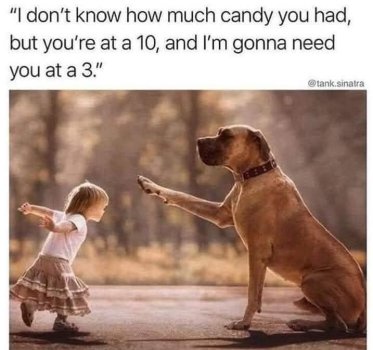 1762116133711.jpeg
