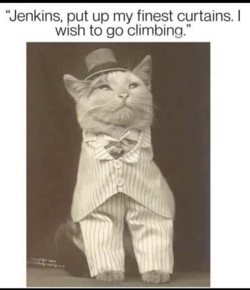 1762132303261.jpeg