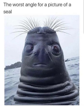 1762133982870.jpeg