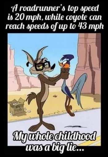 1762304894876.jpeg