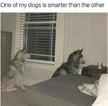 1762308338464.jpeg
