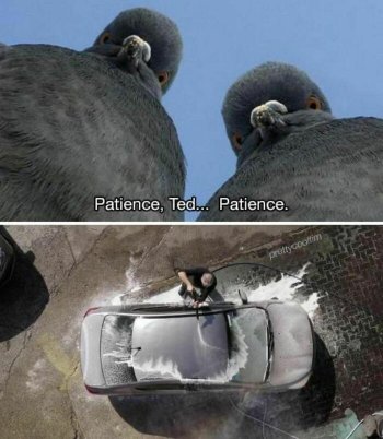 1762383152984.jpeg