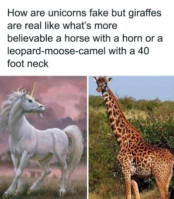 1762383232072.jpeg