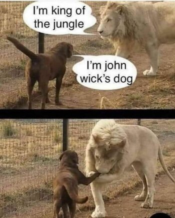1762383261624.jpeg