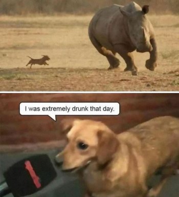 1762383302943.jpeg