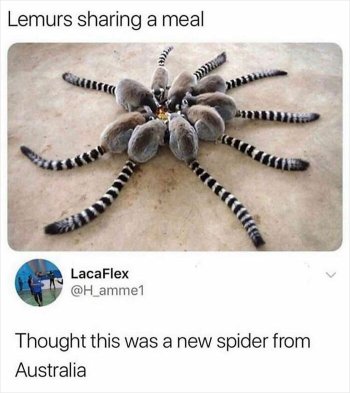 1762383427926.jpeg