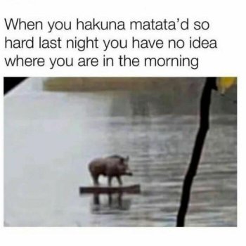 1762383567350.jpeg
