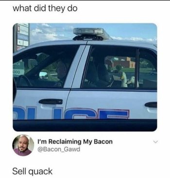 1762383595961.jpeg