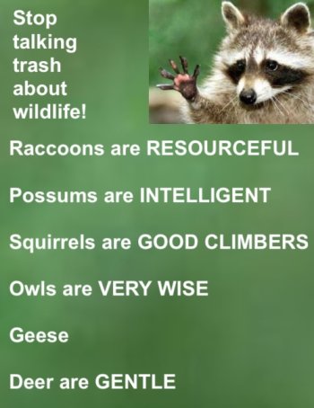 1762482215377.jpeg