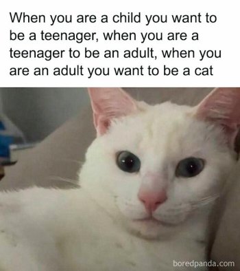 1762555799188.jpeg
