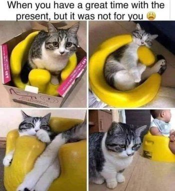 1762577596036.jpeg