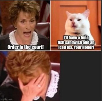 1762577645358.jpeg