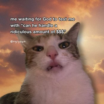1762648349301.jpeg