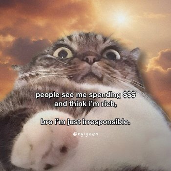 1762648368546.jpeg