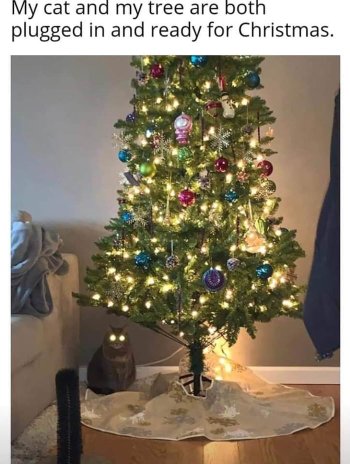 1762676593549.jpeg