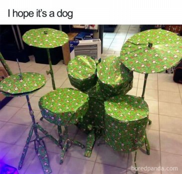 1762741134545.jpeg