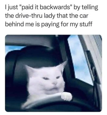 1762793354002.jpeg