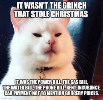 1762793431162.jpeg