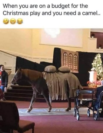 1762813854703.jpeg