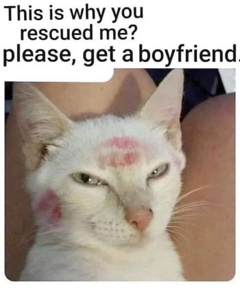 1762835351685.jpeg
