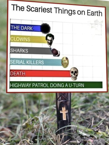 1763051734741.jpeg