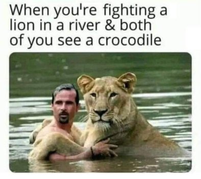 1763057532260.jpeg