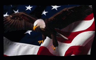 1763059327162.gif