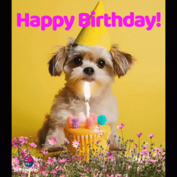 1763059801554.gif