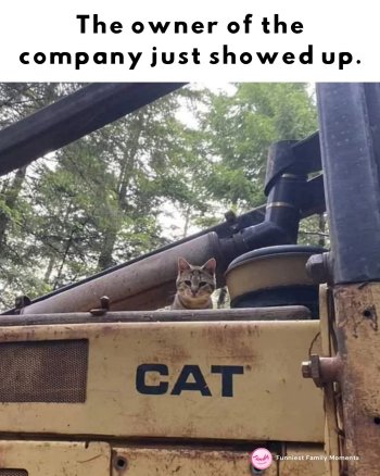 1763127812159.jpeg