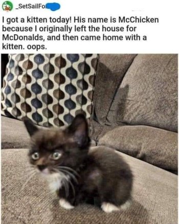 1763128103838.jpeg