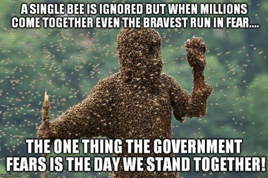1763183798540.jpeg
