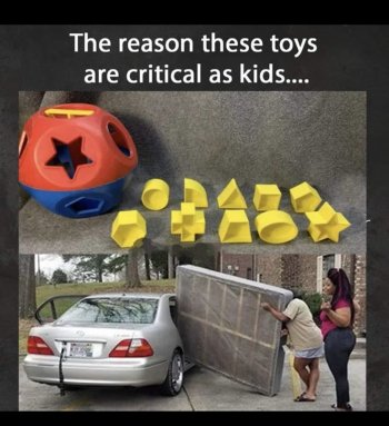 1763184496406.jpeg