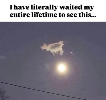 1763184551828.jpeg