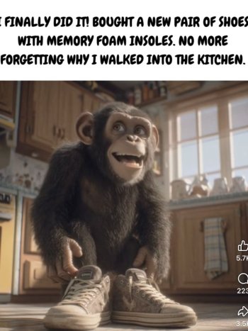 1763184634376.jpeg