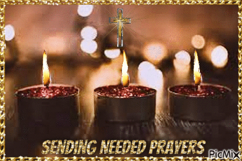 1763258786406.gif