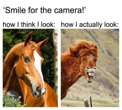 1763259600215.jpeg