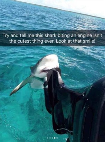 1763261413095.jpeg