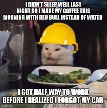1763320239380.jpeg