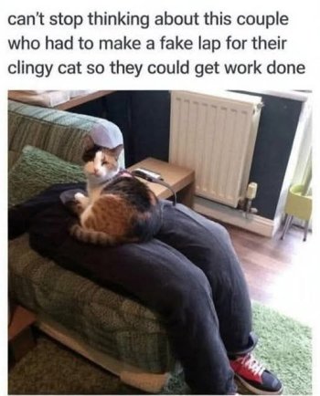 1763397207931.jpeg