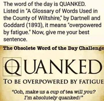 1763530975527.jpeg