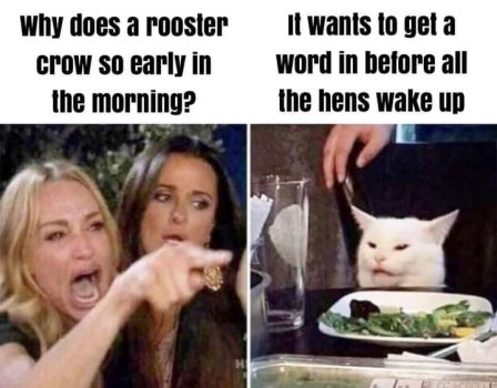 1763531209837.jpeg