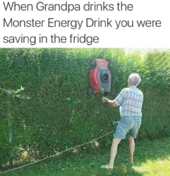 1763597876702.jpeg