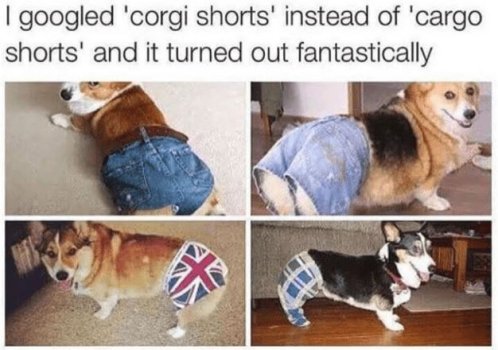 1763615469424.jpeg